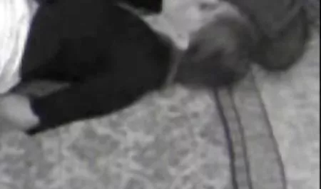 سرخ کلمبیایی خم شد و ضربان خورد فیلم کامل سکسی داستانی
