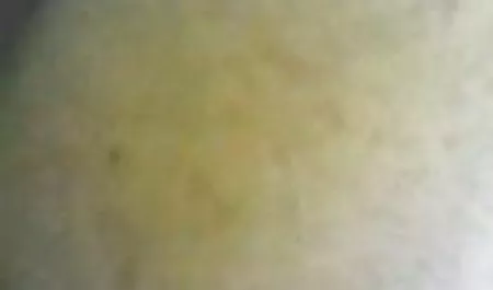دختر زیبا آماتور زیر کلیک سکس کامل گلشیفته و تقدیر در صورت
